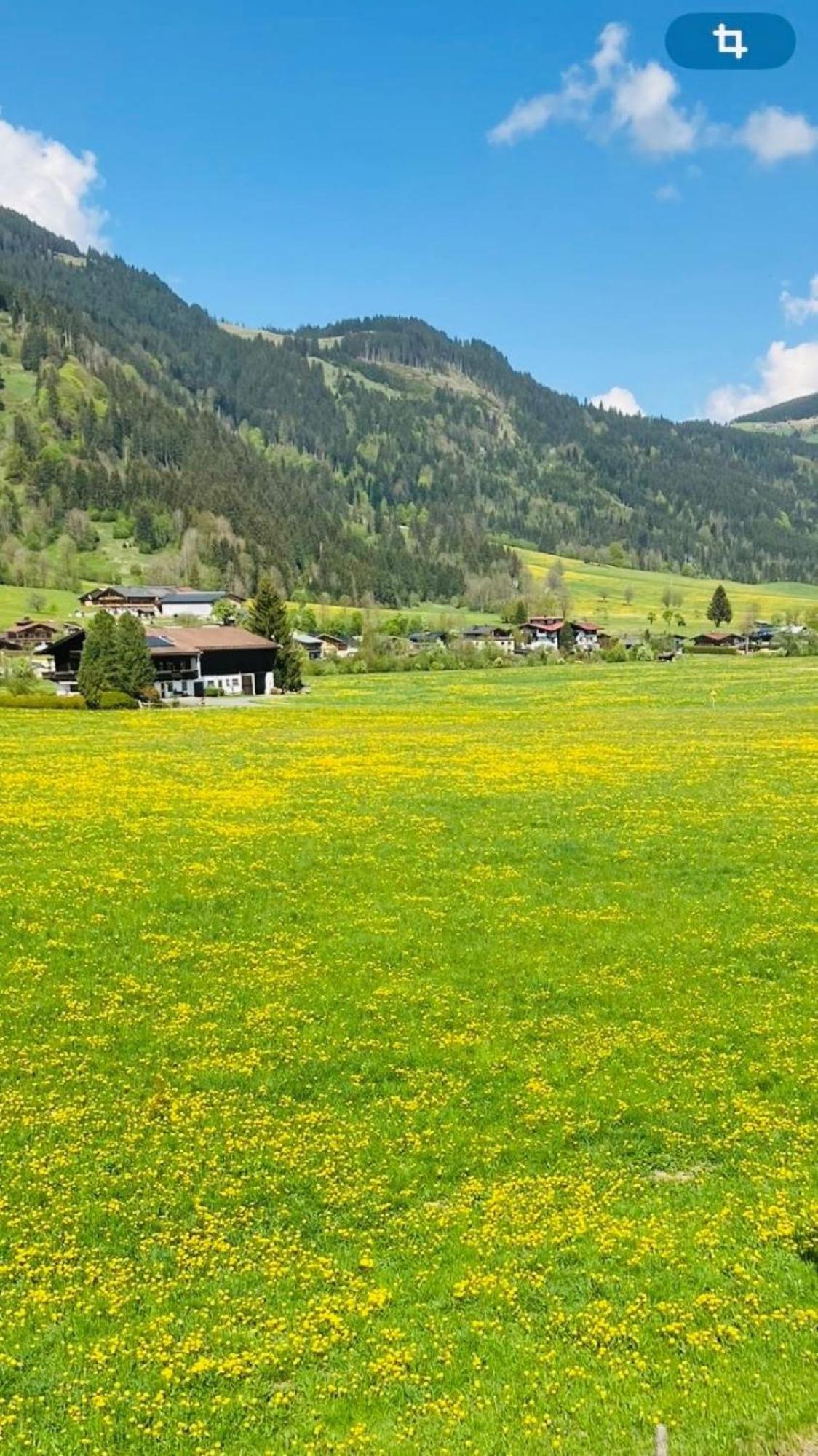 Landhaus Feller Райт-бай-Кицбюэль Экстерьер фото